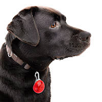 Lb LED подвеска/фонарик безопасности на ошейник для собак Friend HY-0501 Red