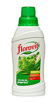 FLOROVIT удобрение для папоротника 0,5л. Флоровит