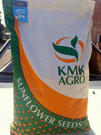 Насіння соняшнику Ліміт. Clearfield® "KMK AGRO", фото 2