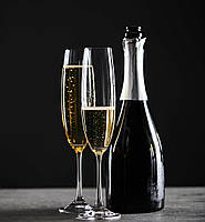 Набор бокалов для шампанского 250мл 6 шт Bohemia Barbara (Milvus)