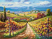 Пазли Castorland 3000 елементів "Виноградник" (C-300587), фото 2