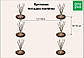 Саджанці Ожиномалини Логанберрі - великоплідна, солодка, безколючкова, фото 5
