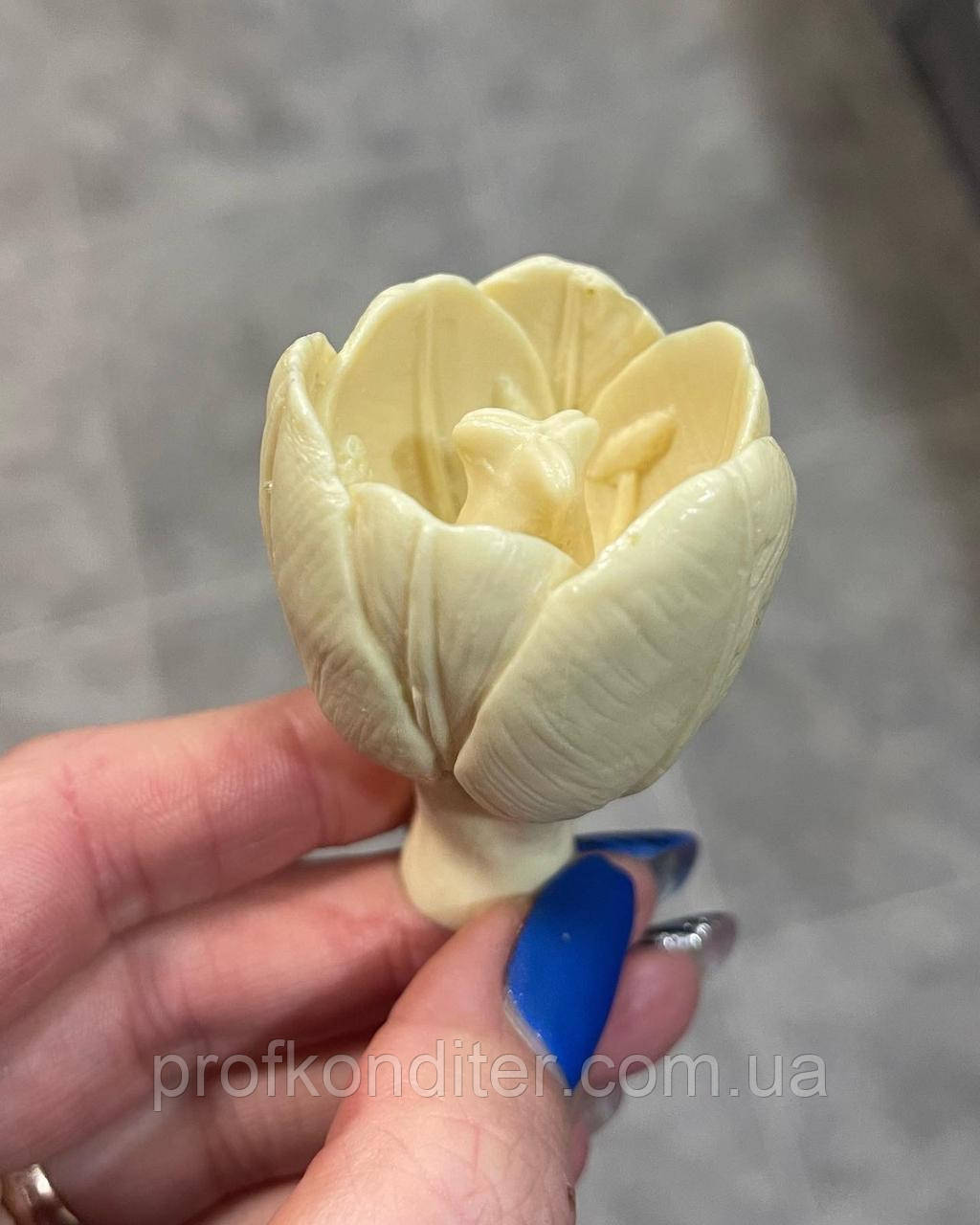 Силіконовий молд "Головка тюльпана №8", фото 1