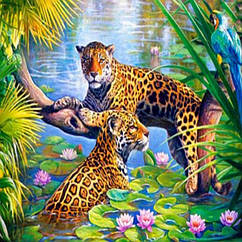 Картина за номерами Леопарди, Полотно на Дерев'яному підрамнику, Акрилові Фарби, Пензлі, Розмір: 40х50см,
