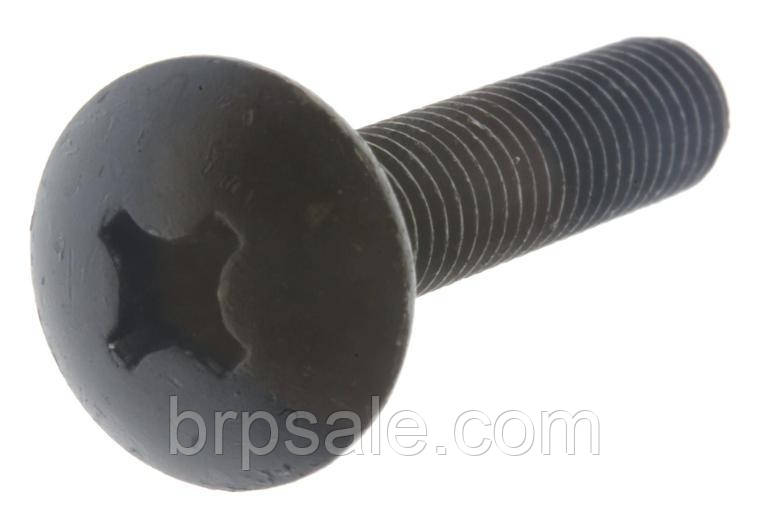 Гвинт M6X30 Can-Am BRP PHILLIPS SCREW M6X30