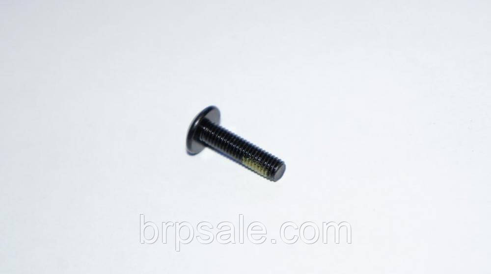 Гвинт M5X20 Can-Am BRP TORX SCREW M5X20, фото 1