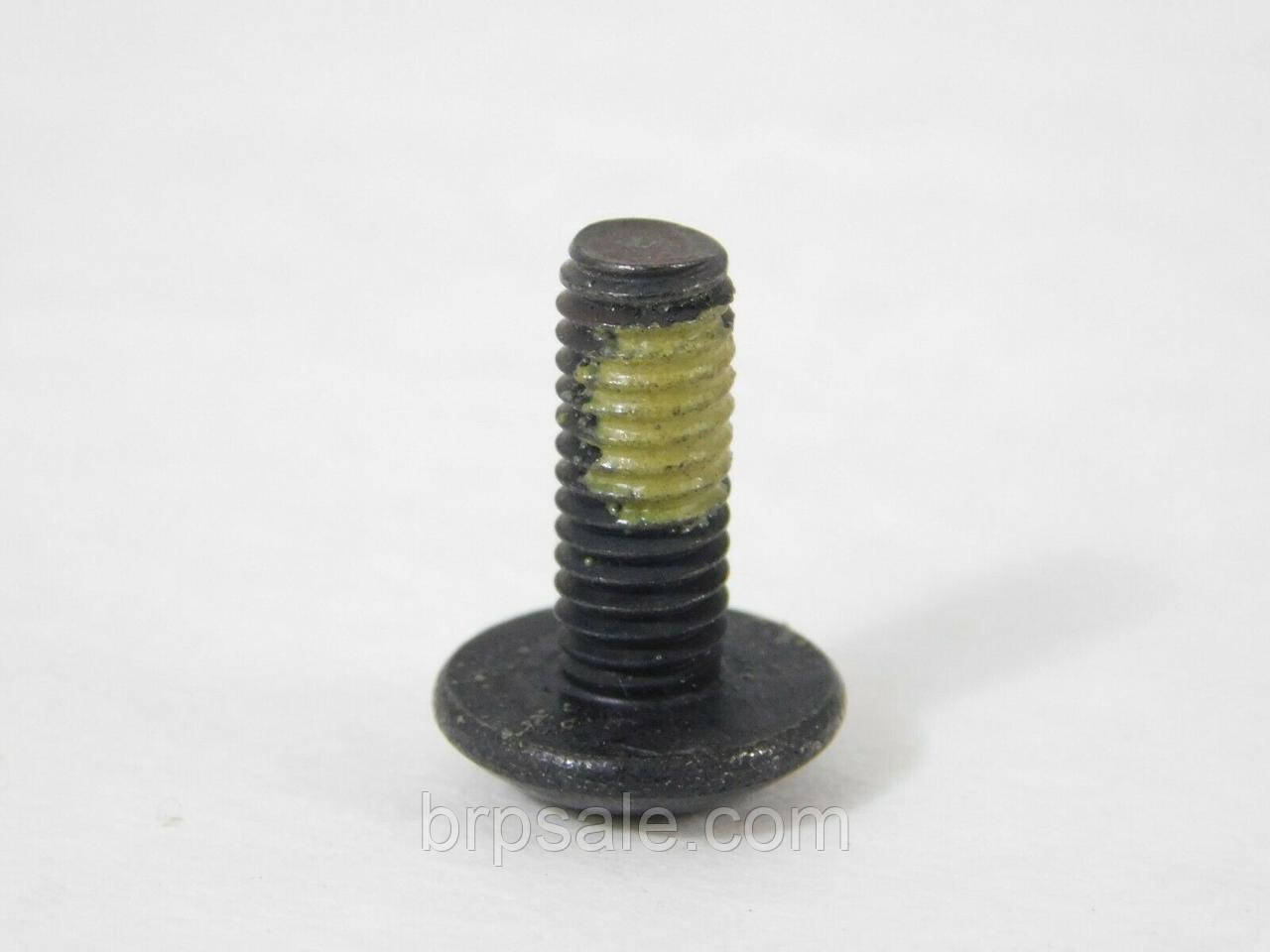 Гвинт M6X16 Can-Am BRP TORX TRUSS SCREW M6X16, фото 1