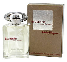 Incanto Pour Homme Salvatore Ferragamo eau de toilette 100 ml