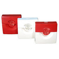 Оповісники