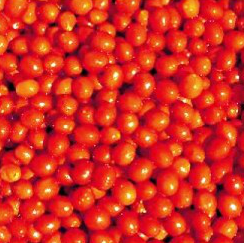 ФРЕНЗІ F1 - насіння томату, Lark Seed