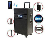 Музыкальный центр, аудиосистема, портативная колонка DMS K10-12MS (Bluetooth, WMA USB / SD / MP3-плеер)