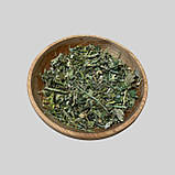 Трав'яний набір при ВАРИКОЗНОЇ РОЗШИРЕННІ ВЕН, фото 3