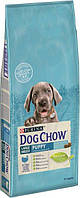 Dog Chow Puppy Large Breed (Дог Чау) для щенков крупных пород с индейкой, 14 кг