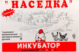 Инкубатор Наседка ИБ-60 механический цифровой пластиковый корпус - фото 6 - id-p1096379959