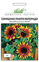 ТМ " Професійне насіння Соняшник Пакіто Колорадо 1г
