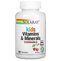 Solaray, Витамины и минералы для детей с натуральным вкусом ягод черемухи, 120 жевательных таблеток