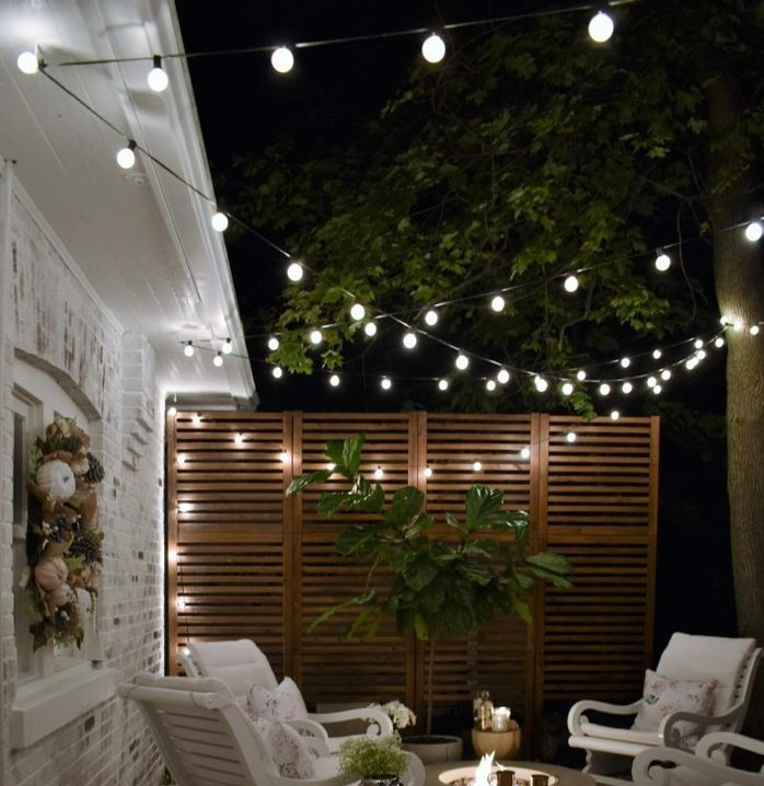 Світлодіодна led гірлянда для саду вулична чорна лампи кожні 50 см, фото 1