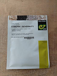Северин F1/Severin F1 — Огірок, Enza Zaden. 500 насіння