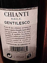 Вино 1997 року Chianti Gentilesco Італія, фото 2