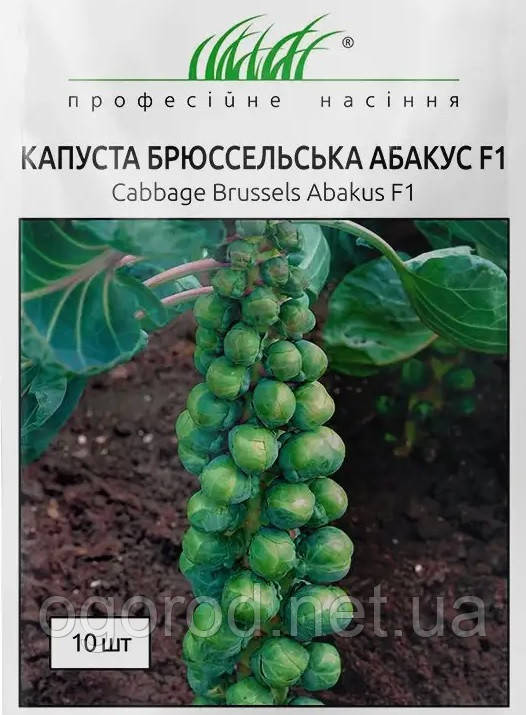 Абакус 10 шт. насіння брюсельської капусти Syngenta Голландія