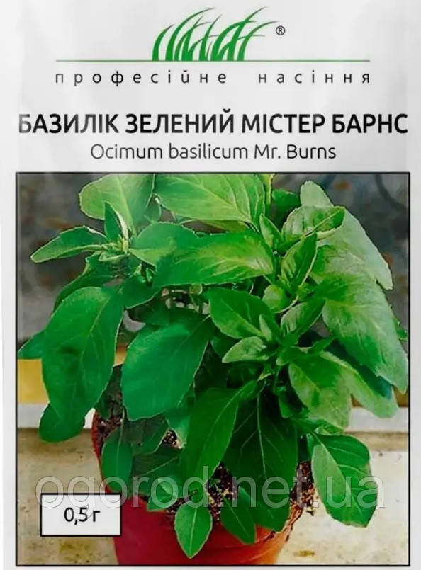 Насіння базиліка Містер Барнс Hem Zaden, Голландія 0,5 г