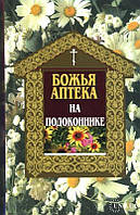 Божественний аптека на підвіконні