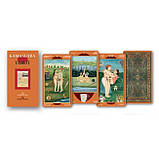 Kamasutra Tarot. Таро Камасутра., фото 4