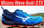 Огляд кросівок Mizuno Wave Ibuki