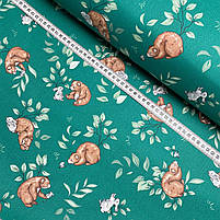 Польська бавовняна тканина "Коричневі ведмедики на зеленому", фото 2