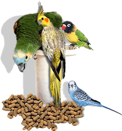 Корми для птахів