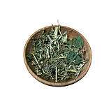 Трав'яний набір при запаленні нирок і сечового міхура, фото 3