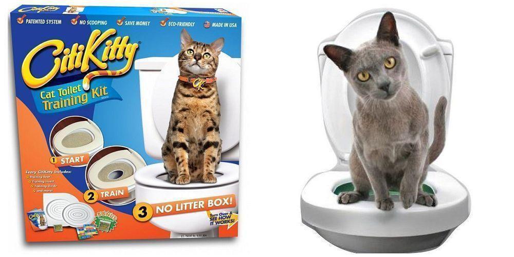 City kitty top potty training