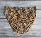 Труси чоловічі плавки бавовна Палочки Natural Club Польща розмір М, фото 2