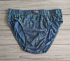 Труси чоловічі плавки бавовна Палочки Natural Club Польща розмір М, фото 3