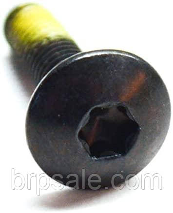 Гвинт M5X20 Can-Am BRP TORX SCREW M5X20, фото 1
