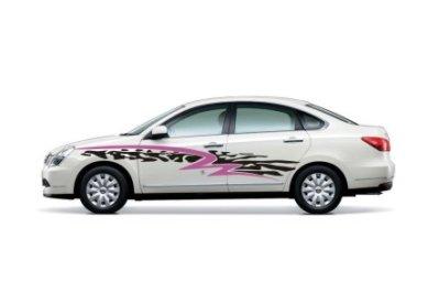 Наклейка на автомобіль «Смуги» з оракалу