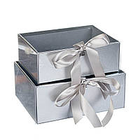 Набор коробок "Комплемент" 2 шт, серебро, Elisey, Картон
