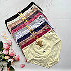 Жіночі бавовняні трусики #5132 Aonidaisi, фото 7