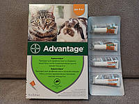 Bayer Advantage 40 - капли Байер Адвантейдж от блох для кроликов, котят и кошек до 4 кг за 4 (пипетки)