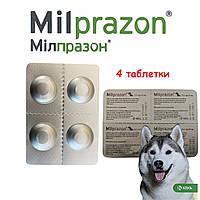 Милпразон для собак (блистер 4 таблетки от 5кг до 25кг; 12,5 мг/125мг), KRKA,