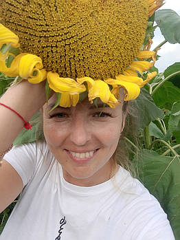 Сорт Лакомка великоплідний, Урожайний кондитерський сорт Лакомка 31-35 ц/га. Фракція 3,8-4,0. 1 репродукція