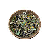 Трав'яний набір при захворюваннях ОПОРНО-РУХОВОЇ СИСТЕМИ, фото 3