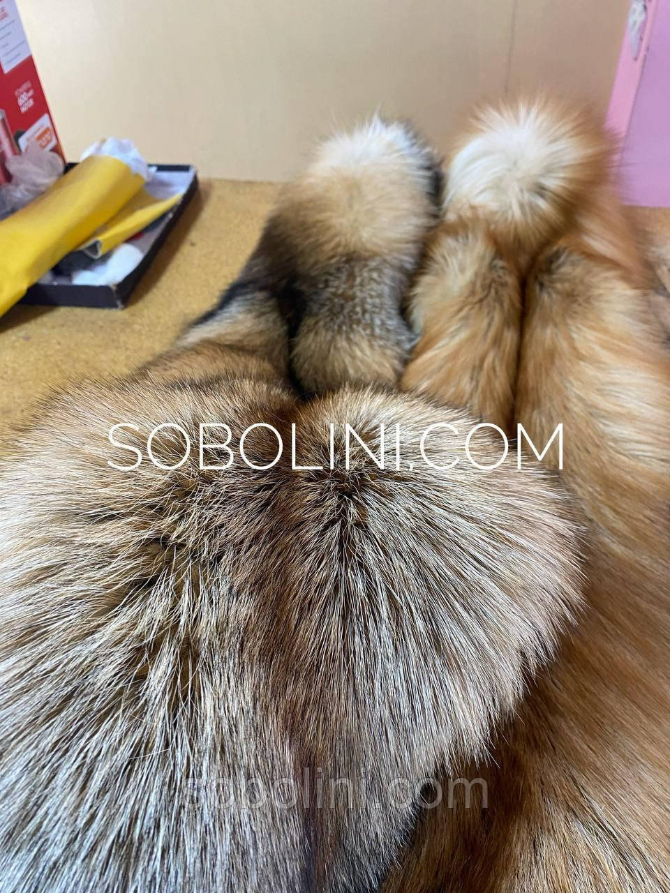 Лисиця-мутація Gold Fox в наявності, фото 1