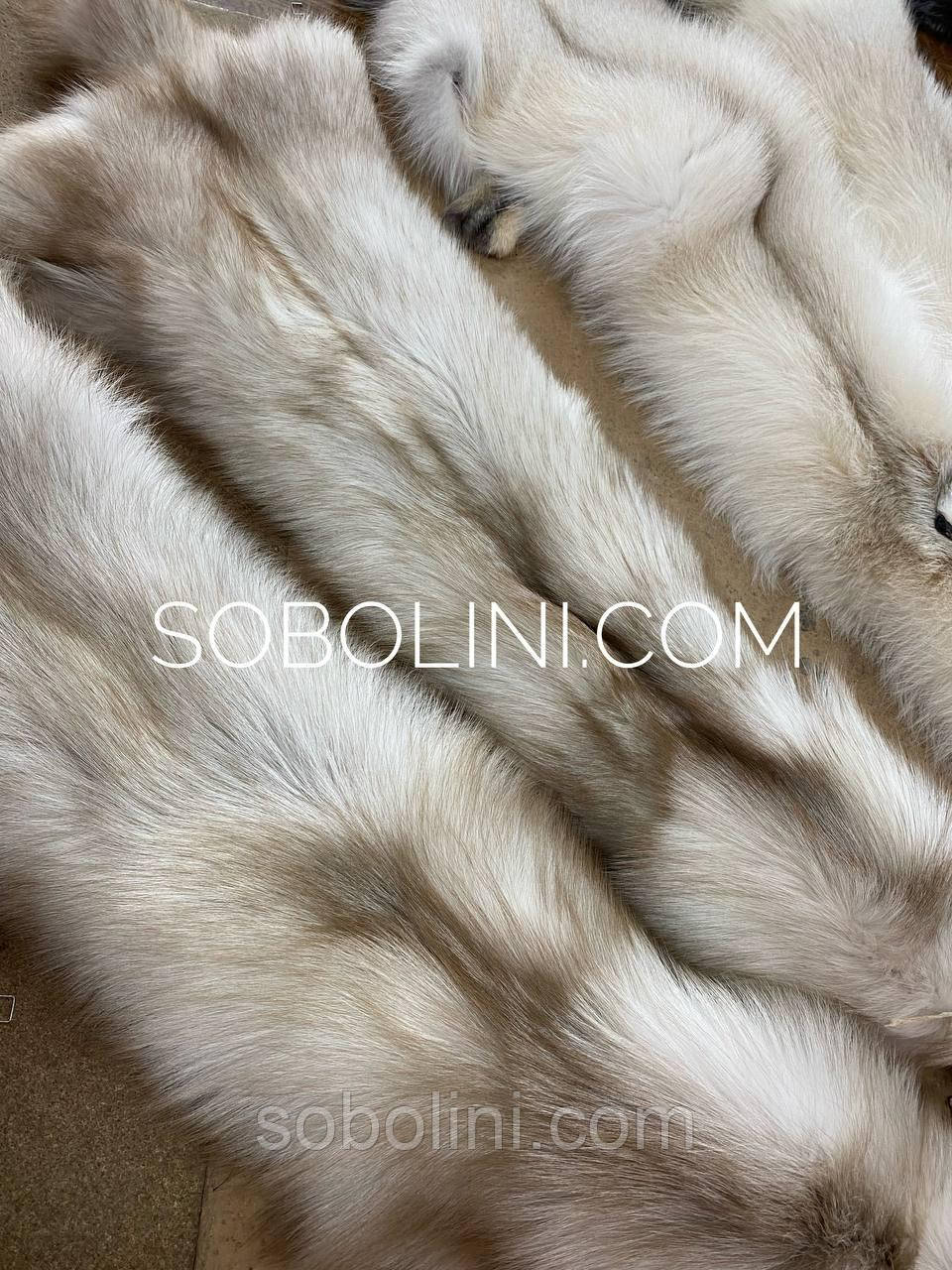 Лисиця-мутація беж із темним хребтом у наявності, фото 1