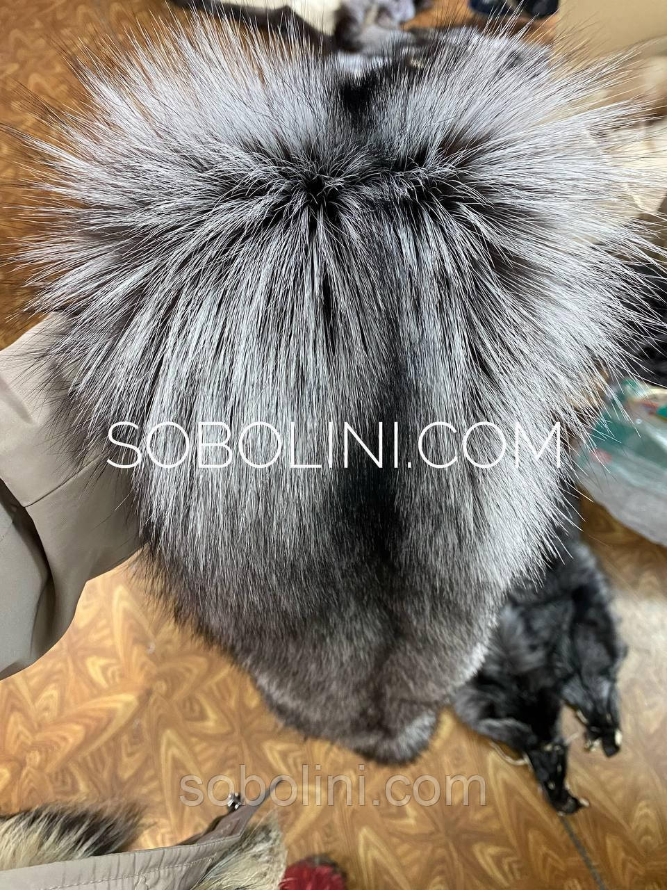 Чорнобурка Норвегія в наявності, фото 1