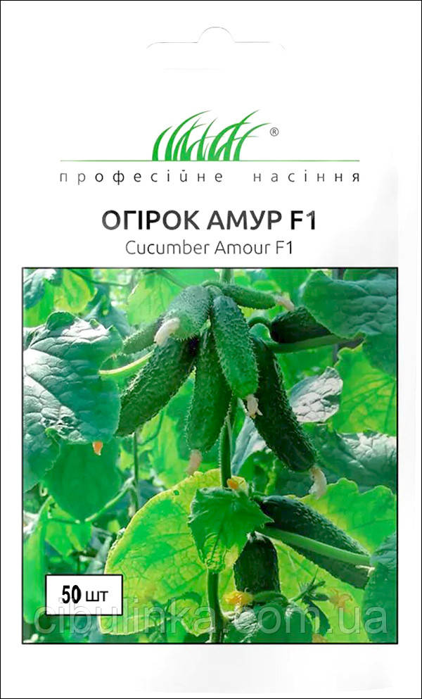 Огірок Амур F1 Bejo Zaden/Нідерланди 50 шт, фото 1