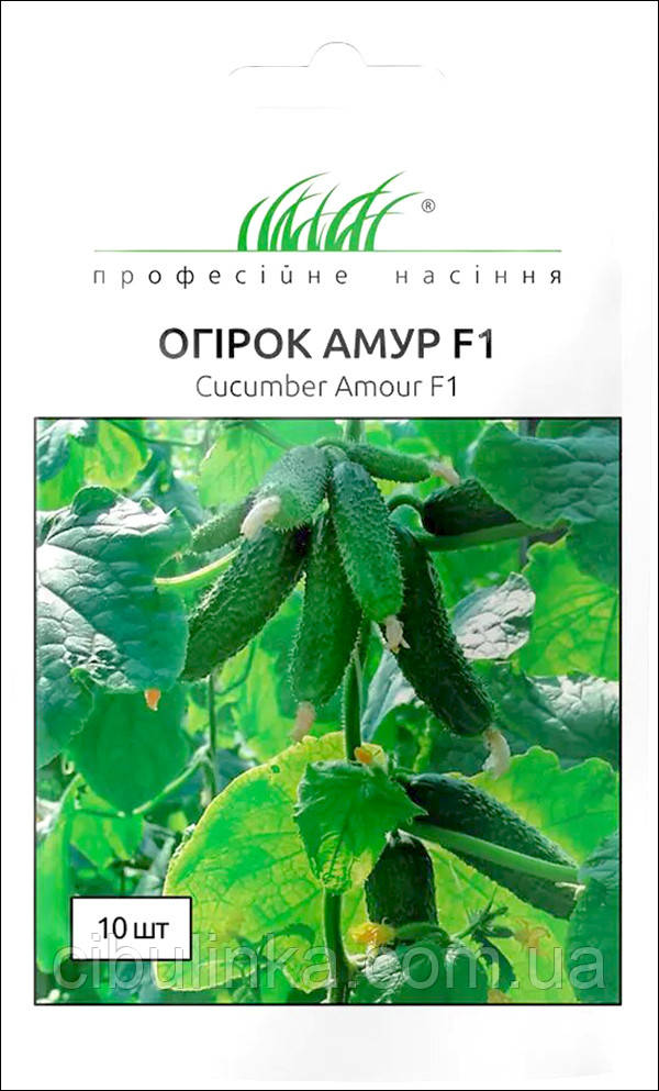 Огірок Амур F1 Bejo Zaden/Нідерланди 10 шт, фото 1
