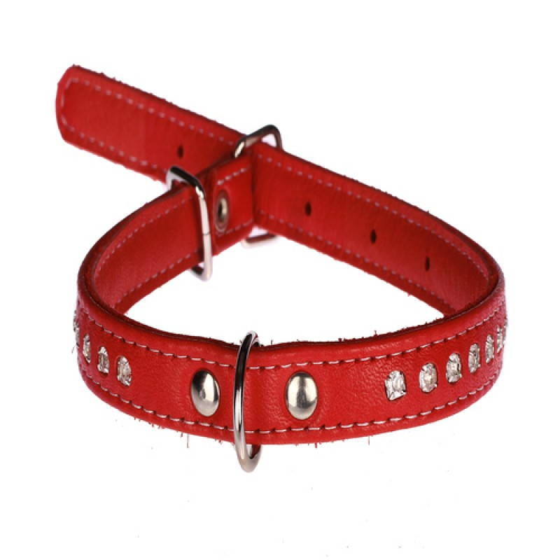 Нашийник 1372 12мм "Люкс" 1-о стор. прикр страз червоний, фото 1