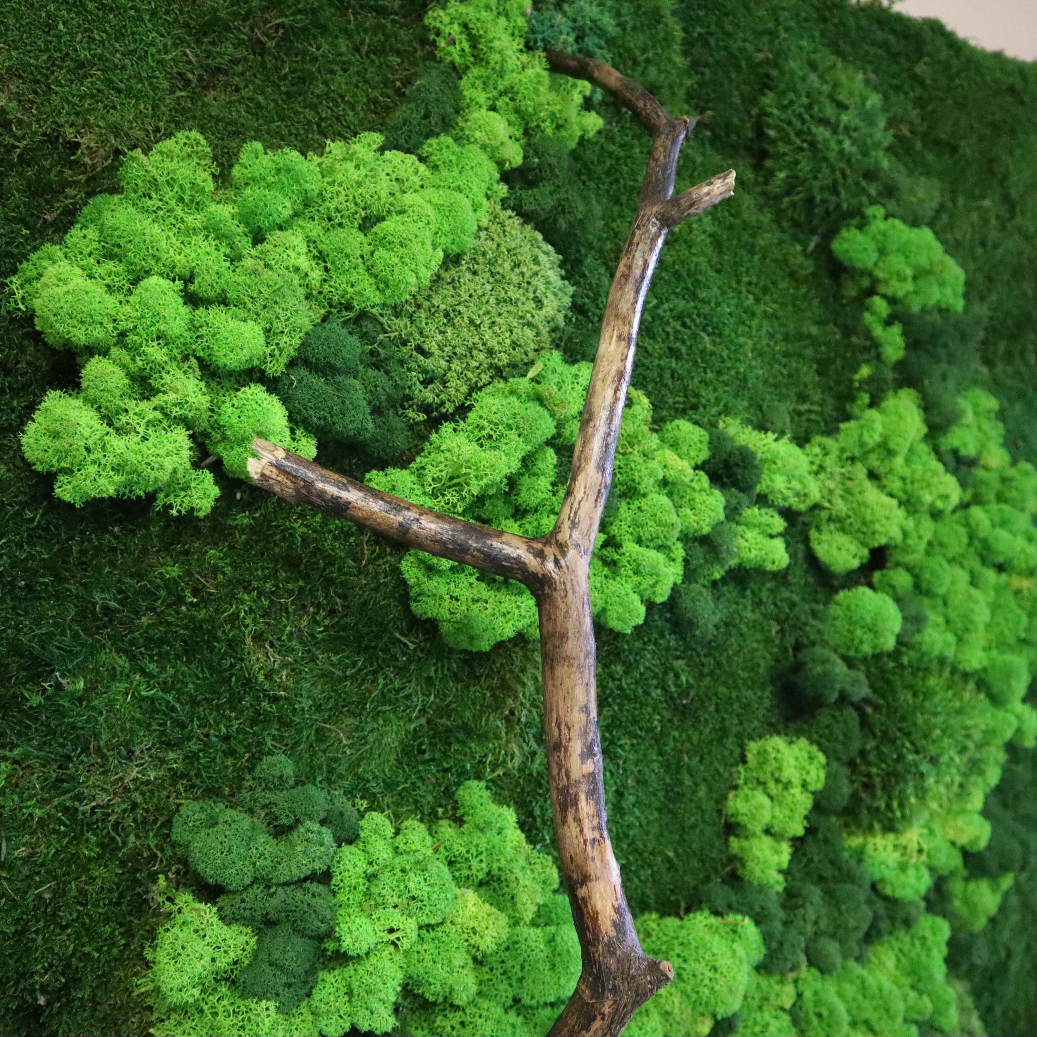ecco green