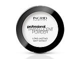 Професійна матуюча рисова пудра Ingrid Cosmetics Professional Translucent Powder, фото 4